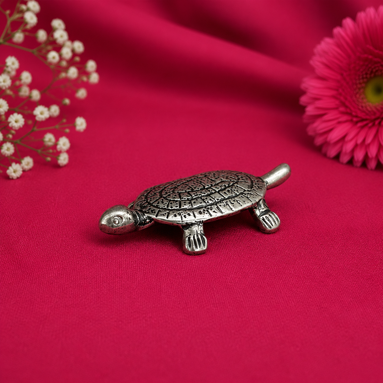 Vastu Tortoise preview